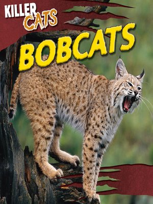 cover image of Bobcats